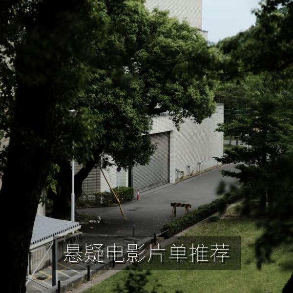 悬疑电影片单推荐